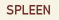 SPLEEN